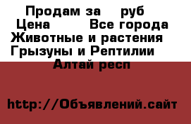 Продам за 50 руб. › Цена ­ 50 - Все города Животные и растения » Грызуны и Рептилии   . Алтай респ.